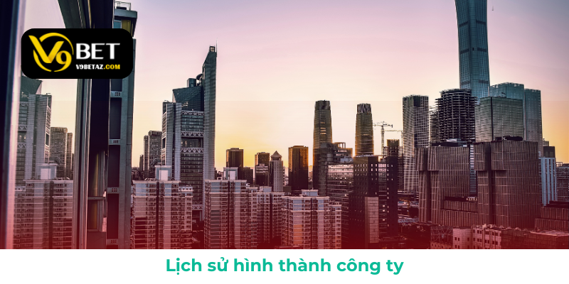 Quá trình hình thành và phát triển của công ty